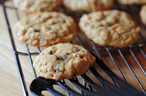 oatmeal cookie recipe