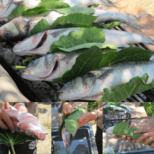 Fish on the grill