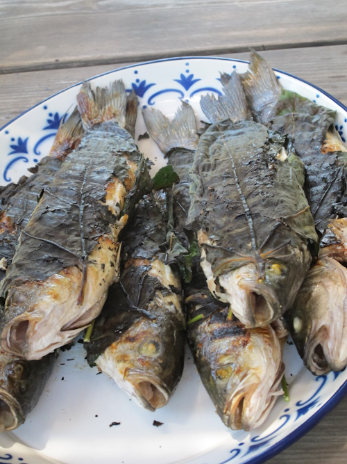 Greece-435